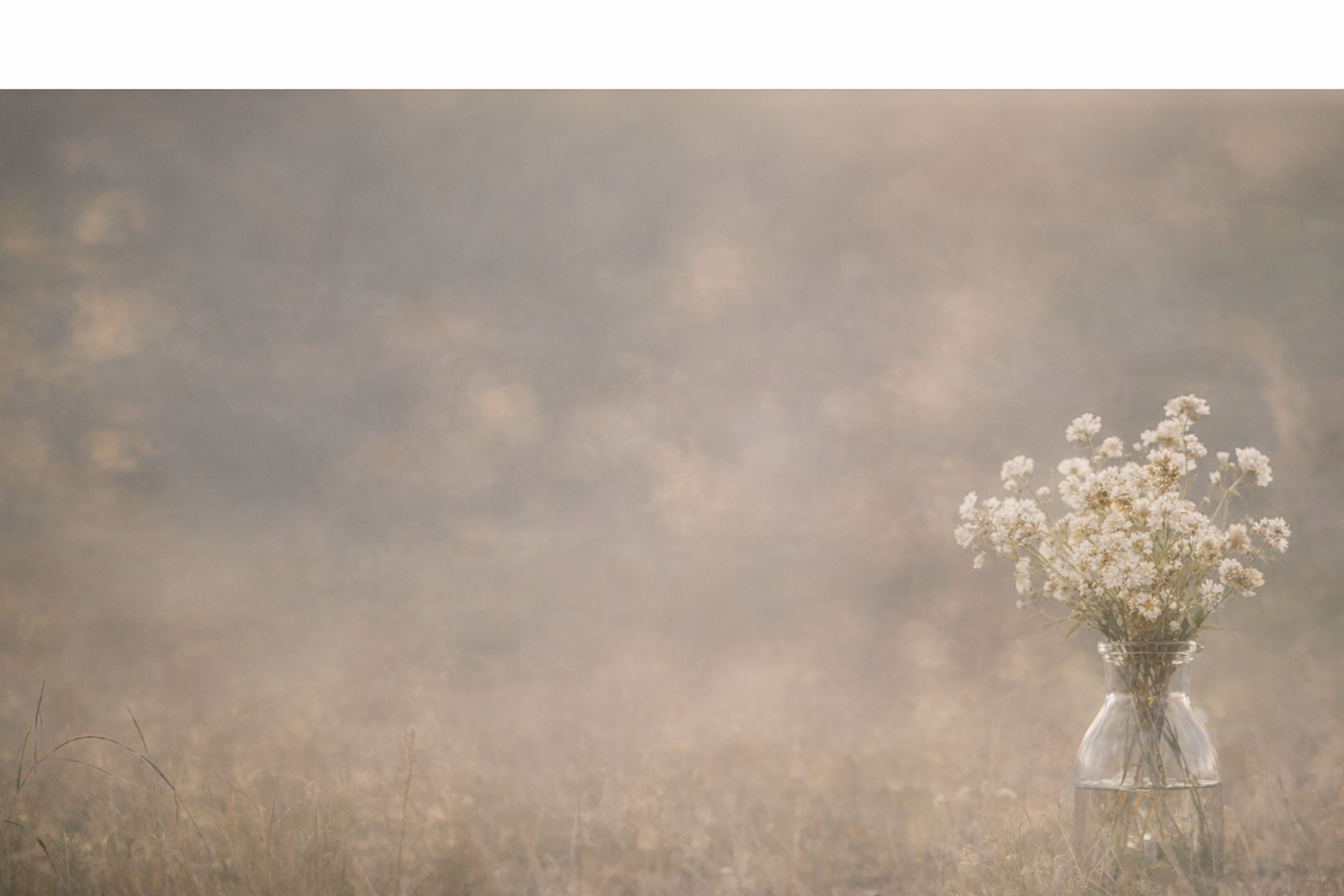 Soft reflective background